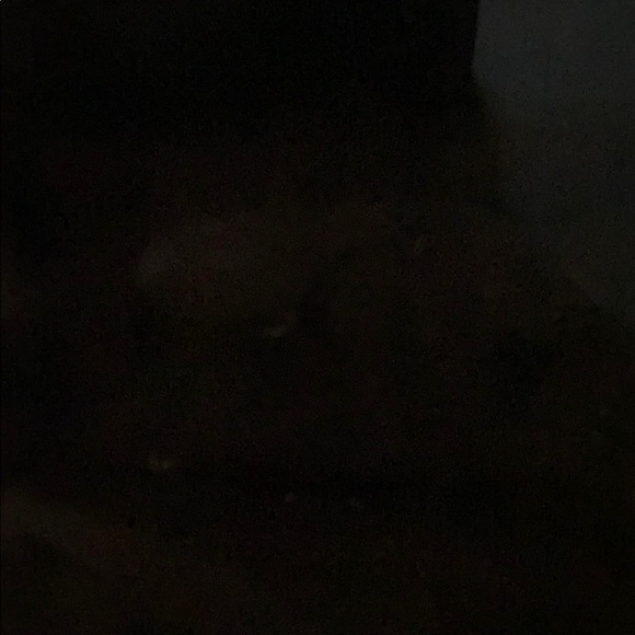 Meet your Posher, Kateryna - Picture 1 of 1